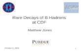 1 Rare Decays of B Hadrons at CDF Matthew Jones October 3, 2005.