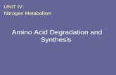 Amino Acid Degradation and Synthesis UNIT IV: Nitrogen Metabolism