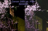 Canon 20D vs. Film ISO400. Canon 20D vs. Film ISO1600
