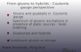 From gluons to hybrids : Coulomb gauge perspective Adam Szczepaniak IU Gluons and glueballs in Coulomb gauge Gluelumps and Hybrids Spectrum of gluonic.