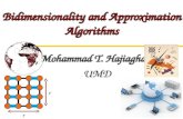 Bidimensionality and Approximation Algorithms Mohammad T. Hajiaghayi UMD r r.
