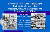 Effects of 17α -Ethinyl Estradiol on the Reproductive Success of Freshwater Fish ENSC 202 April 24, 2008 Katie Chang Lucas Chapman Jackie Travers Alea.