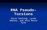 RNA Pseudo-Torsions Kevin Keating, Leven Wadley, and Anna Marie Pyle