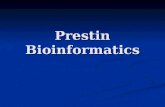Prestin Bioinformatics. Prestin Location Dallos ‘02.
