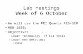 Lab meetings Week of 6 October We will use the FEI Quanta FEG-SEM MEB 1555b Objectives –Learn “knobology” of FEI tools –Learn new detectors SSBSE.