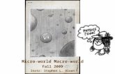 Micro-world Macro-world Fall 2009 Instr: Stephen L. Olsen.