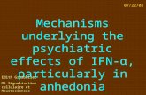 Mechanisms underlying the psychiatric effects of IFN-α, particularly in anhedonia Edith Grosbellet M1 Signalisation cellulaire et Neurosciences Paris XI/ENS.