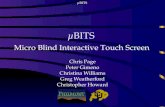 ΜBITS Chris Page Peter Gimeno Christina Williams Greg Weatherford Christopher Howard Micro Blind Interactive Touch Screen.