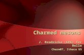 Charmed mesons J. Brodzicka (KEK) for Belle Charm07, Ithaca US