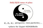Belle/KEB status & plans φ 1, φ 2, φ 3 ; penguins; new particles;… +plans for Super-KEKB/Belle S.L. Olsen U. of Hawai’i P5 meeting SLAC 10/5/05.