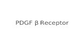 PDGF β Receptor. Protein 1106 amino acid protein Weinberg Fig 5.10.