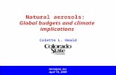 Natural aerosols: Global budgets and climate implications Aerodyne, Inc. April 10, 2009 Colette L. Heald.