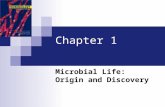 Chapter 1 Microbial Life: Origin and Discovery. What Is a Microbe? Microbes are microscopic organisms  Through most of its lifespan  Can only be seen.