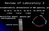 Review of Laboratory 3 Spectrophotometric determination of DNA quantity, purity Abs 260 nmAbs 280 nmAbs 320 nmAbs 260/Abs 280 0.05241 0.03110 0.00261 1.75