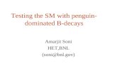 Testing the SM with penguin- dominated B-decays Amarjit Soni HET,BNL (soni@bnl.gov)