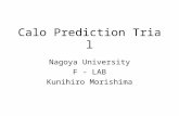 Calo Prediction Trial Nagoya University F - LAB Kunihiro Morishima