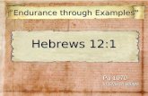 Hebrews 12:1 “Endurance through Examples” Pg 1070 In Church Bibles.
