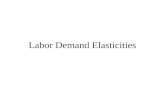 Labor Demand Elasticities. Own-Wage Elasticity Review of the concept of elasticity in product markets Own-wage Elasticity = percentage change in labor.