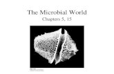The Microbial World Chapters 5, 15. The Marine Environment.