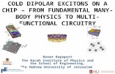 COLD DIPOLAR EXCITONS ON A CHIP â€“ FROM FUNDAMENTAL MANY-BODY PHYSICS TO MULTI-FUNCTIONAL CIRCUITRY Ronen Rapaport The Racah Institute of Physics and the