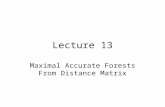 Lecture 13 Maximal Accurate Forests From Distance Matrix.