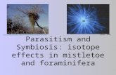Parasitism and Symbiosis: isotope effects in mistletoe and foraminifera Spero, 1998)