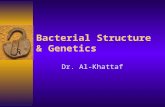 Bacterial Structure & Genetics Dr. Al-Khattaf. Definition Bacteria : Is a heterogeneous group of uni- cellular organisms about 1-8 μm in diameter Prokaryotic.