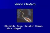 Vibrio Cholera Michelle Ross, Kristin Roman, Risa Siegel