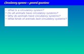 Circulatory systems – general questions What is a circulatory system? Do all animals have circulatory systems? Why do animals have circulatory systems?