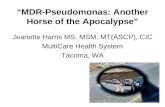 “MDR-Pseudomonas: Another Horse of the Apocalypse” Jeanette Harris MS, MSM, MT(ASCP), CIC MultiCare Health System Tacoma, WA.