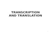 TRANSCRIPTION AND TRANSLATION 1. SIGNIFICANCE OF TRANSCRIPTION AND TRANSLATION IN MEDICINE Example: Inhibitor of RNA polymerase II: α-amanitin Poisoning: