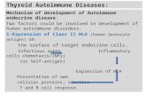Thyroid Autoimmune Diseases: Mechanism of development of Autoimmune endocrine disease: Two factors could be involved in development of human autoimmune.