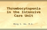 Thrombocytopenia in the Intensive Care Unit Ming S. He, M.D.