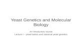 Yeast Genetics and Molecular Biology An introductory course Lecture I – yeast basics and classical yeast genetics.