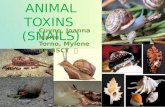 1 ANIMAL TOXINS (SNAILS) Cuyno, Joanna Marie Torno, Mylene III- BSCT Cuyno, Joanna Marie Torno, Mylene III- BSCT.
