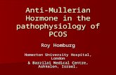 Anti-Mullerian Hormone in the pathophysiology of PCOS Roy Homburg Homerton University Hospital, London & Barzilai Medical Centre, Ashkelon, Israel.