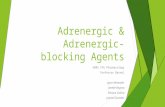 Adrenergic & Adrenergic-blocking Agents GNRS 576 Pharmacology Professor Bernal Joyce Alexander Janelle Bogran Enrique Caloca Justine Gonzalez.