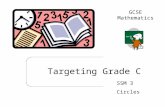 Targeting Grade C SSM 3 Circles GCSE Mathematics.