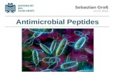 Antimicrobial Peptides Sebastian Gro 01.07.2015