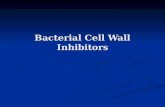 Bacterial Cell Wall Inhibitors. β-lactam antibiotics Contain a beta-lactam ring that is part of their chemical structure Contain a beta-lactam ring that.