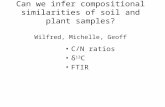 Can we infer compositional similarities of soil and plant samples? Wilfred, Michelle, Geoff C/N ratios δ 13 C FTIR