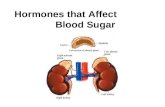 Hormones that Affect Blood Sugar. Pancreatic Hormones Produced in the islets of Langerhans. –Beta (β) cells produce insulin. –Alpha (α) cells produce.