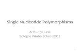 Single Nucleotide Polymorphisms Arthur M. Lesk Bologna Winter School 2011 1.