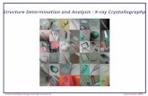 Understanding biology through structures Course work 2006 Structure Determination and Analysis : X-ray Crystallography.