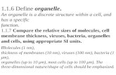 1.1.6 Define organelle. An organelle is a discrete structure within a cell, and has a specific function. 1.1.7 Compare the relative sizes of molecules,