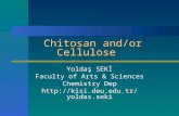 Chitosan and/or Cellulose Yoldaş SEKİ Faculty of Arts & Sciences Chemistry Dep .