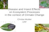 Disease and Insect Effects on Ecosystem Processes in the context of Climate Change Christa Mulder UAF.