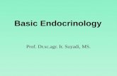 Prof. Dr.sc.agr. Ir. Suyadi, MS. Endocrinology: Endocrinology (from Greek ἔ νδον, endo, "within"; κρ ῑ νω, krīnō, "to separate"; and -λογία, - logia)