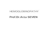 HEMOGLOBINOPATHY Prof.Dr.Arzu SEVEN. HEMOGLOBINOPATHY Mutations in the genes that encode the α or β subunits of Hb potentially can affect its biological.