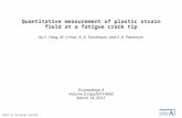 Quantitative measurement of plastic strain field at a fatigue crack tip by Y. Yang, M. Crimp, R. A. Tomlinson, and E. A. Patterson Proceedings A Volume.